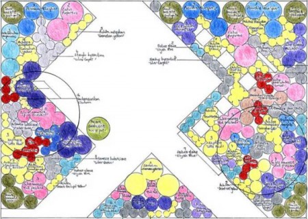 planting plan detail 600x427