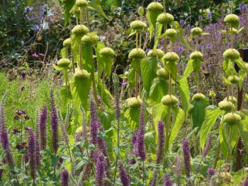 10 improvements to your garden