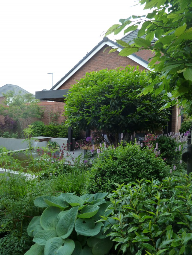 Contemporary New Build in Wiltshire 5