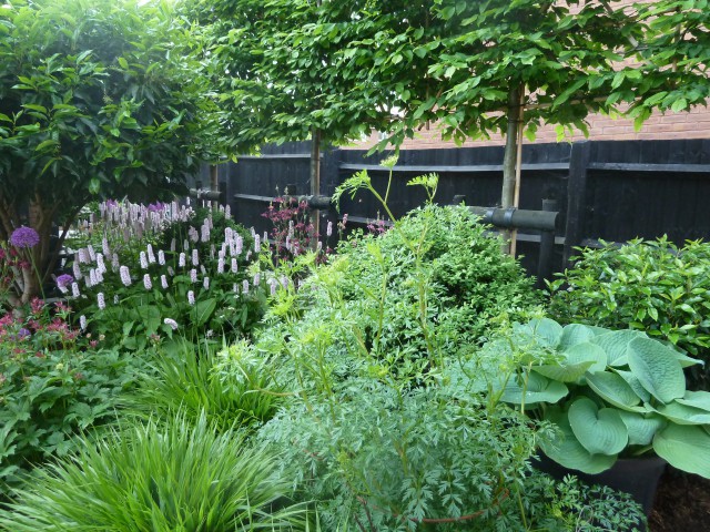 Contemporary New Build in Wiltshire 8