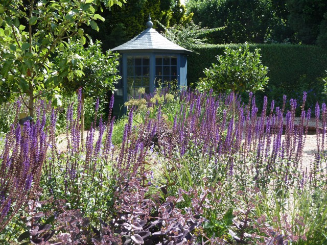 A Town Garden in Cheltenham 2