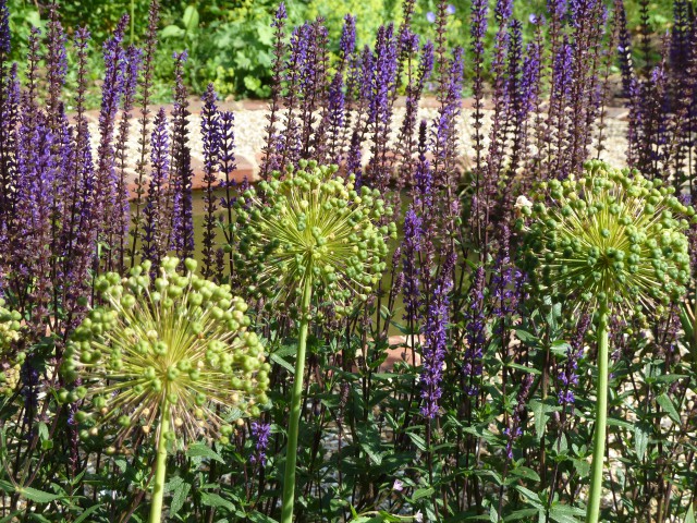 A Town Garden in Cheltenham 7