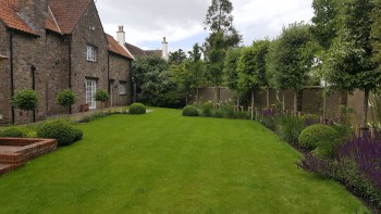 New Design Screening Trees