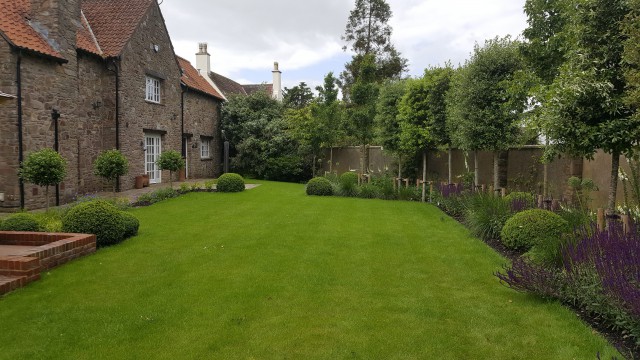 New Design Screening Trees