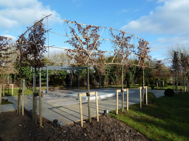 Large Contemporary Garden in the Wiltshire Countryside 15