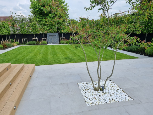 feature tree in contemporary entertaining garden in swindon