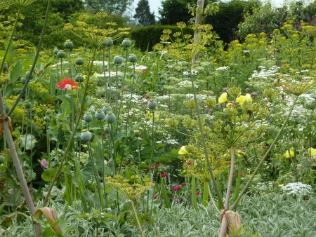 03. Great Dixter Planting Forms