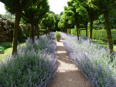 Cothay Manor Unicorn Walk