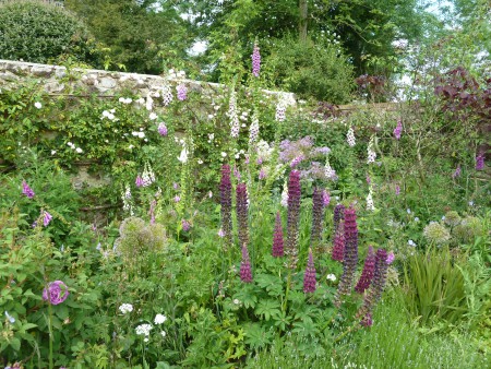 Planting Border at Honiton Garden