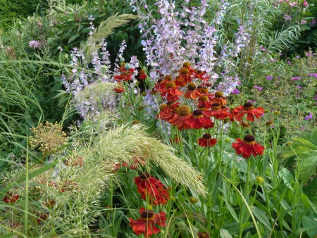 03. The Barn Planting