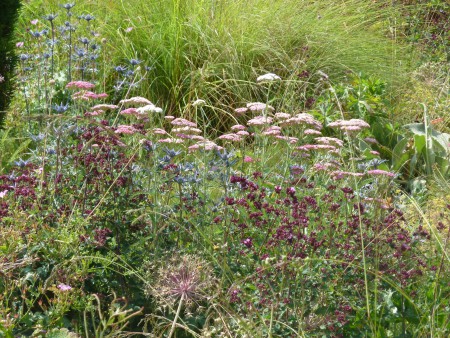 10. Broughton Grange Planting