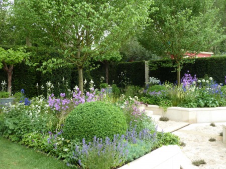 Contemporary Planting Scheme
