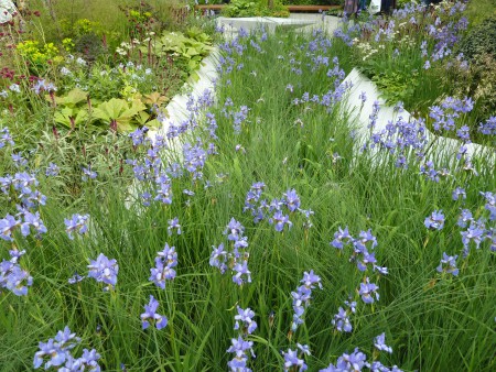 River Garden Planting