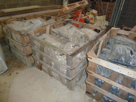 Pebbles to sort through